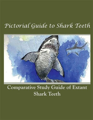 Comparitive study of Modern and Fossil Shark Teeth